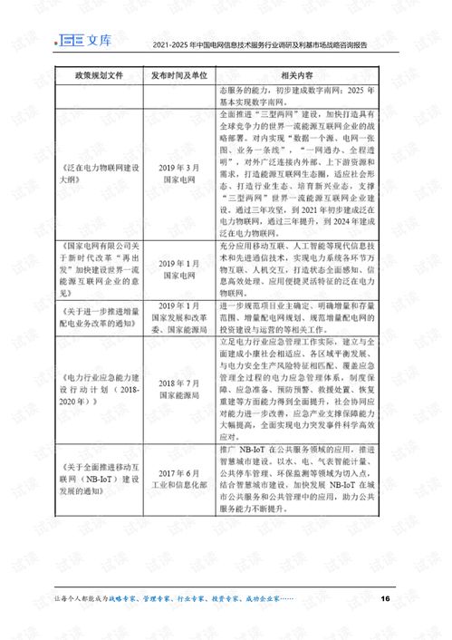 2021-2025年中国电网信息技术服务行业调研及利基市场战略咨询报告 互联网销售分析