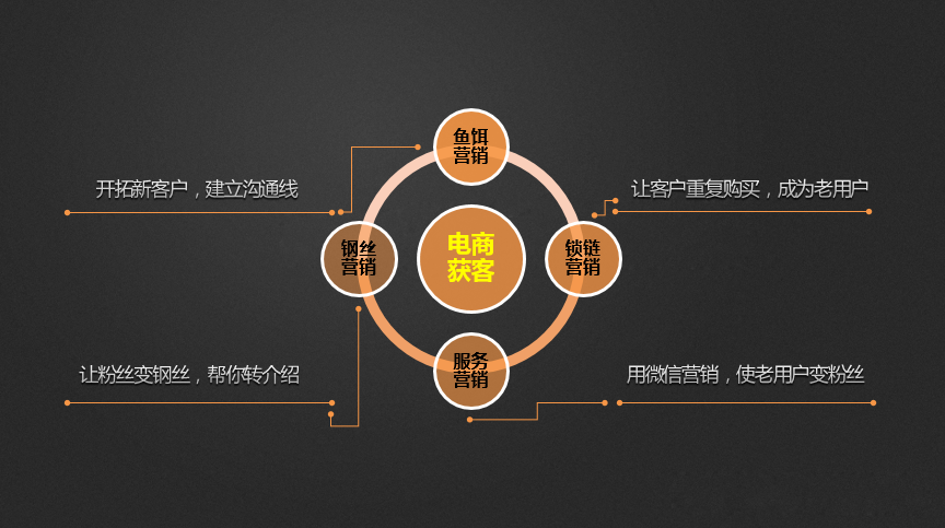 驾驭数字浪潮 新东网科技互联网市场营销与产品营销实战指南