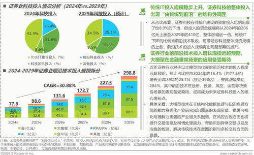 2025年中国金融科技（FinTech）行业发展洞察报告 信息技术咨询服务的机遇与挑战